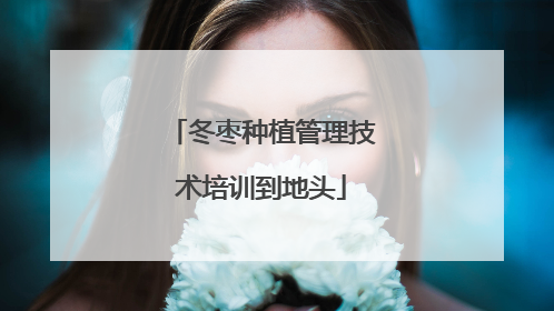 冬枣种植管理技术培训到地头