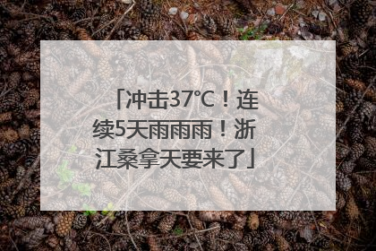 冲击37℃！连续5天雨雨雨！浙江桑拿天要来了