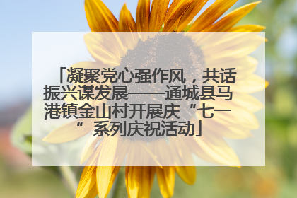 凝聚党心强作风，共话振兴谋发展——通城县马港镇金山村开展庆“七一”系列庆祝活动