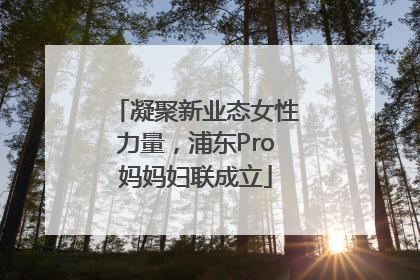 凝聚新业态女性力量，浦东Pro妈妈妇联成立