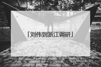刘伟到浙江调研
