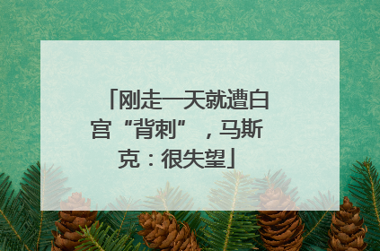 刚走一天就遭白宫“背刺”，马斯克：很失望