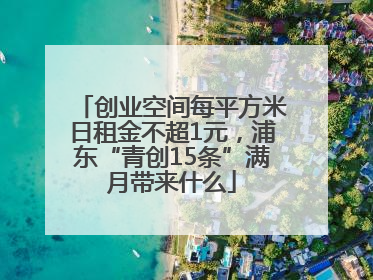 创业空间每平方米日租金不超1元，浦东“青创15条”满月带来什么