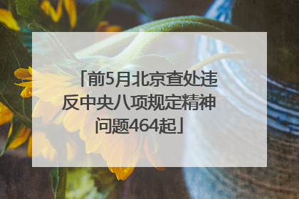 前5月北京查处违反中央八项规定精神问题464起