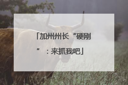 加州州长“硬刚”：来抓我吧