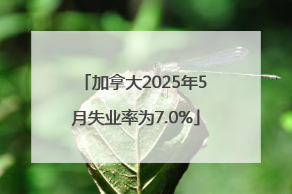 加拿大2025年5月失业率为7.0%