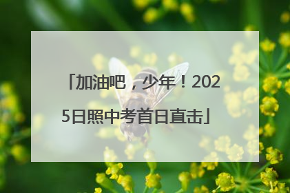 加油吧，少年！2025日照中考首日直击