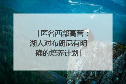 匿名西部高管：湖人对布朗尼有明确的培养计划