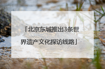 北京东城推出3条世界遗产文化探访线路