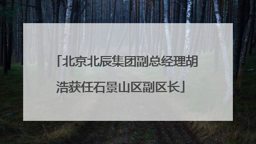 北京北辰集团副总经理胡浩获任石景山区副区长