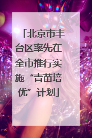北京市丰台区率先在全市推行实施“青苗培优”计划