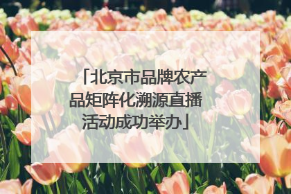 北京市品牌农产品矩阵化溯源直播活动成功举办