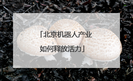 北京机器人产业如何释放活力