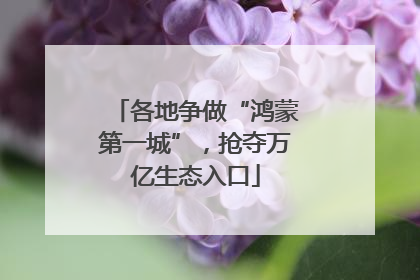 各地争做“鸿蒙第一城”，抢夺万亿生态入口