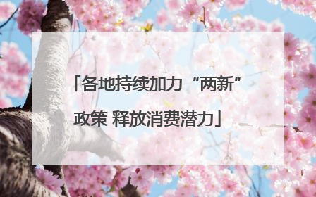 各地持续加力“两新”政策 释放消费潜力