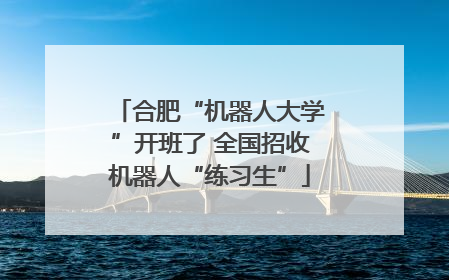 合肥“机器人大学”开班了 全国招收机器人“练习生”