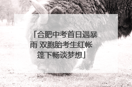 合肥中考首日遇暴雨 双胞胎考生红帐篷下畅谈梦想