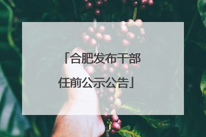 合肥发布干部任前公示公告