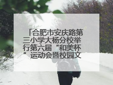 合肥市安庆路第三小学大杨分校举行第六届“和美杯”运动会暨校园文化艺术节