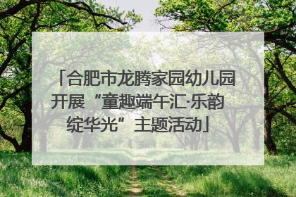 合肥市龙腾家园幼儿园开展“童趣端午汇·乐韵绽华光”主题活动