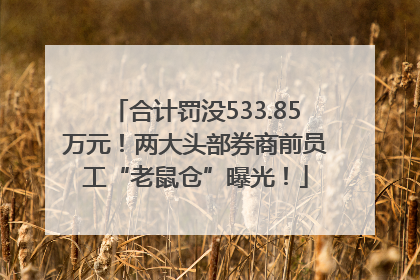 合计罚没533.85万元！两大头部券商前员工“老鼠仓”曝光！