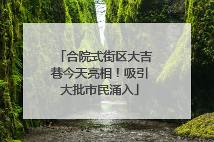 合院式街区大吉巷今天亮相！吸引大批市民涌入
