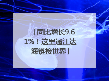 同比增长9.61%！这里通江达海链接世界