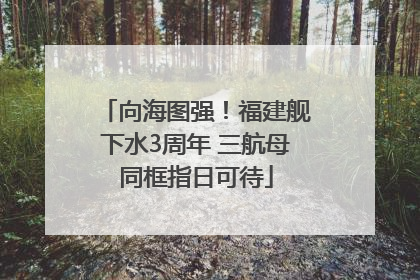向海图强！福建舰下水3周年 三航母同框指日可待