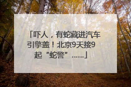 吓人，有蛇藏进汽车引擎盖！北京9天接9起“蛇警”……