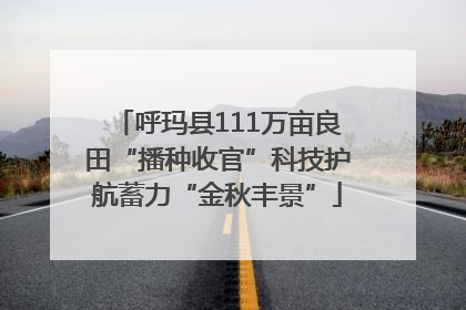 呼玛县111万亩良田“播种收官”科技护航蓄力“金秋丰景”