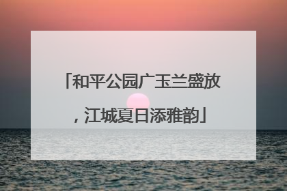 和平公园广玉兰盛放，江城夏日添雅韵