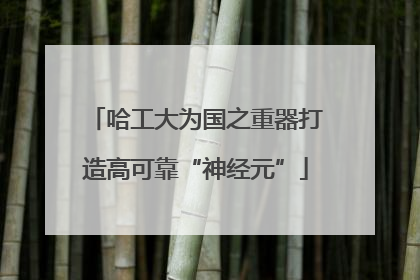 哈工大为国之重器打造高可靠“神经元”