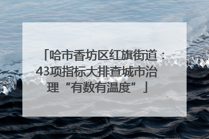 哈市香坊区红旗街道：43项指标大排查城市治理“有数有温度”