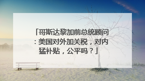 哥斯达黎加前总统顾问：美国对外加关税，对内猛补贴，公平吗？