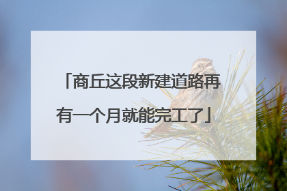 商丘这段新建道路再有一个月就能完工了
