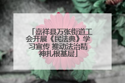 嘉祥县万张街道工会开展《民法典》学习宣传 推动法治精神扎根基层