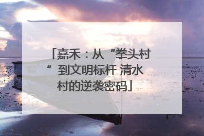 嘉禾：从“拳头村”到文明标杆 清水村的逆袭密码