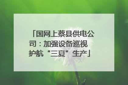 国网上蔡县供电公司：加强设备巡视 护航“三夏”生产