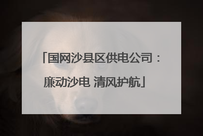 国网沙县区供电公司：廉动沙电 清风护航