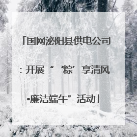 国网泌阳县供电公司：开展“‘粽’享清风 •廉洁端午”活动
