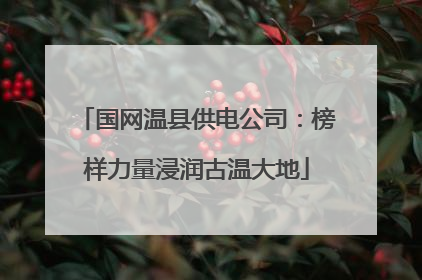国网温县供电公司：榜样力量浸润古温大地