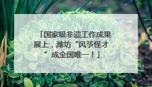 国家级非遗工作成果展上，潍坊“风筝怪才”成全国唯一！