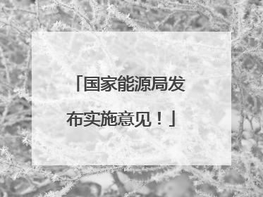 国家能源局发布实施意见！