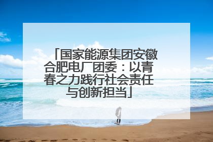 国家能源集团安徽合肥电厂团委：以青春之力践行社会责任与创新担当