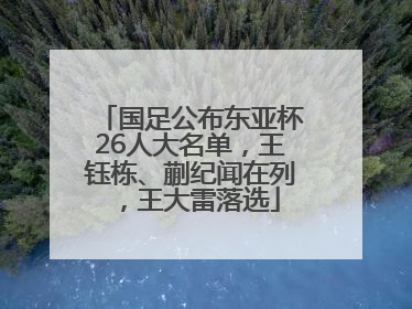 国足公布东亚杯26人大名单，王钰栋、蒯纪闻在列，王大雷落选