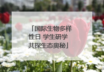 国际生物多样性日 学生研学共探生态奥秘