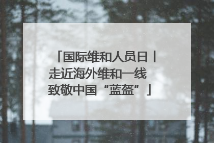 国际维和人员日丨走近海外维和一线 致敬中国“蓝盔”