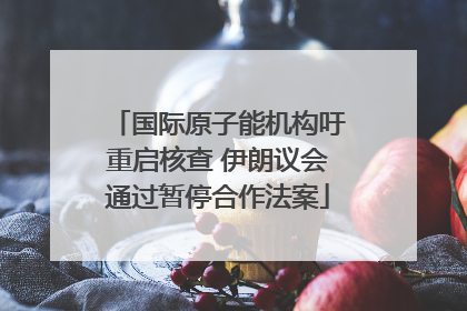 国际原子能机构吁重启核查 伊朗议会通过暂停合作法案