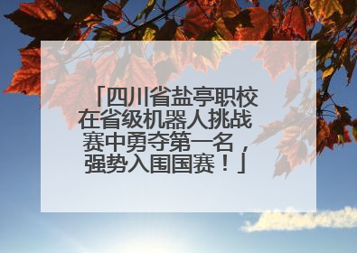 四川省盐亭职校在省级机器人挑战赛中勇夺第一名，强势入围国赛！