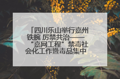 四川乐山举行嘉州铁腕 厉禁共治——“嘉网工程”禁毒社会化工作暨毒品集中销毁启动仪式